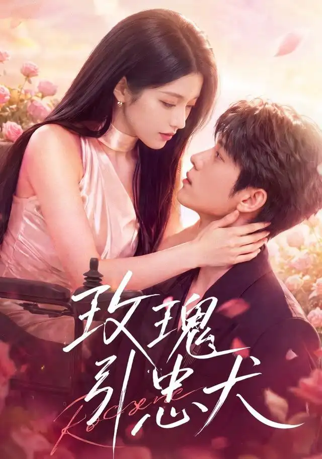 《玫瑰引忠犬》短剧全集完整版免费观看