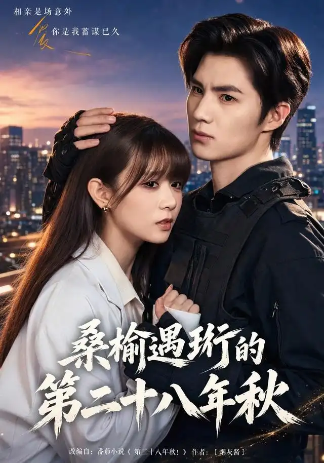 《桑榆遇珩的第二十八年秋》短剧全集完整版免费观看