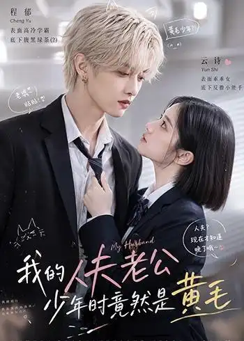 《我的人夫老公少年时竟然是黄毛!》短剧全集完整版免费观看-看电影短剧网