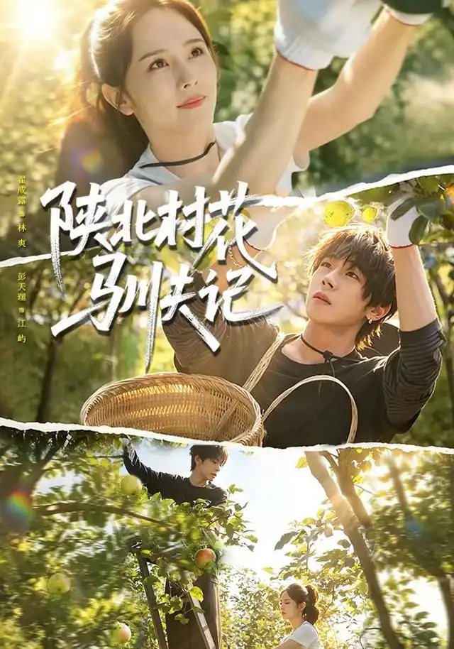 《陕北村花驯夫记》短剧全集完整版免费观看