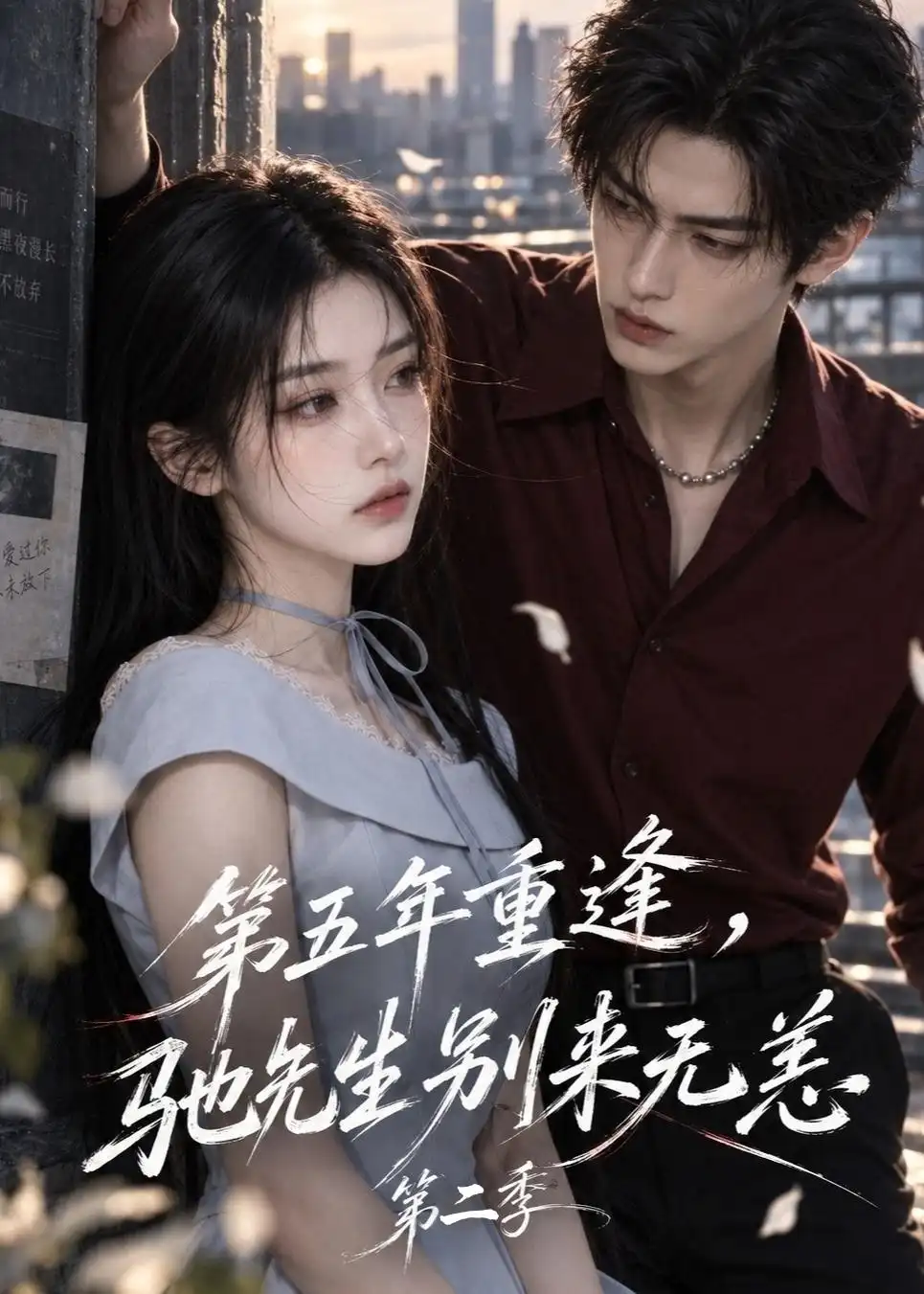 《第五年重逢,驰先生别来无恙》第二季-看电影短剧网