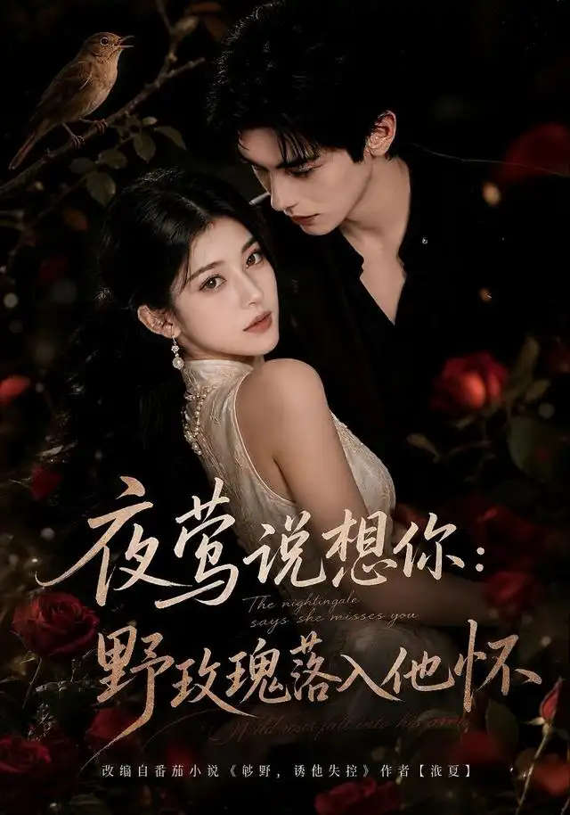 《夜莺说想你:野玫瑰落入他怀》-看电影短剧网