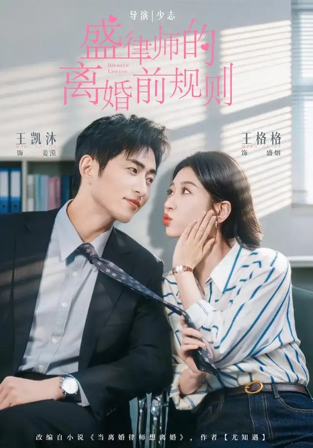 《盛律师的离婚前规则》-看电影短剧网