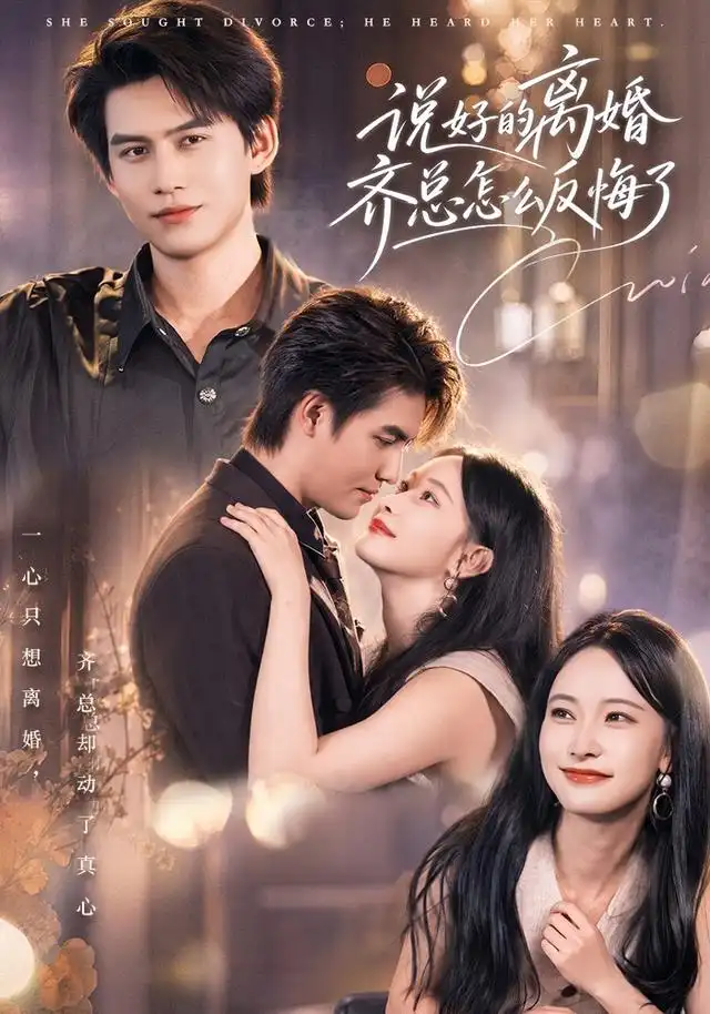 《说好的离婚齐总怎么反悔了》-看电影短剧网