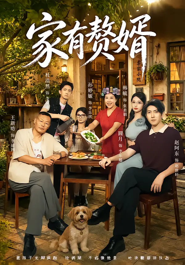 《家有赘婿》-看电影短剧网