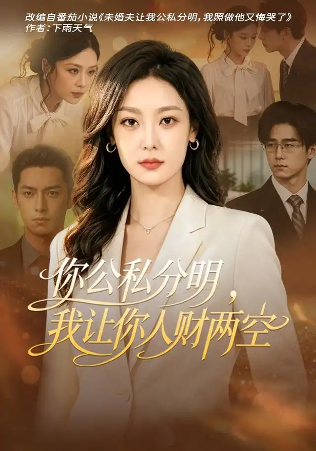 《你公私分明,我让你人财两空》-看电影短剧网