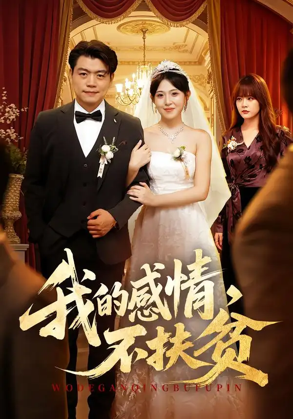 《我的感情，不扶贫》