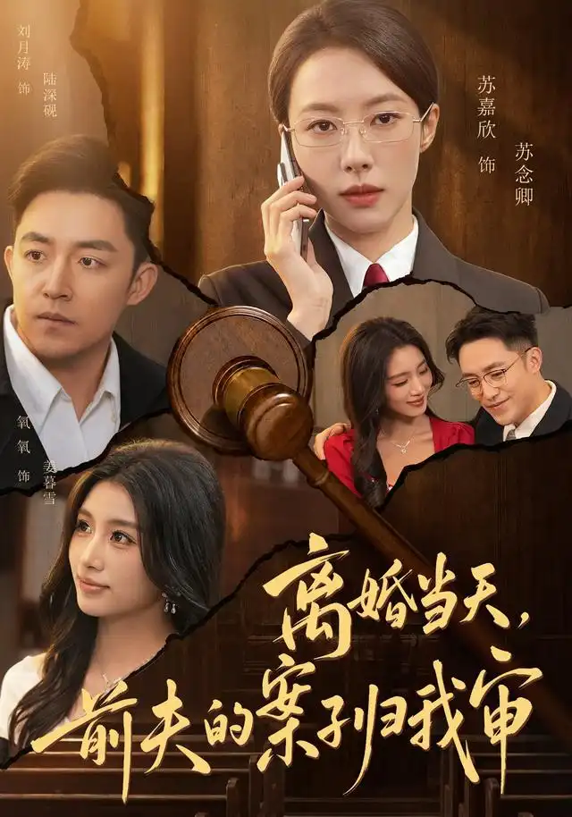 《离婚当天,前夫的案子归我审》-看电影短剧网