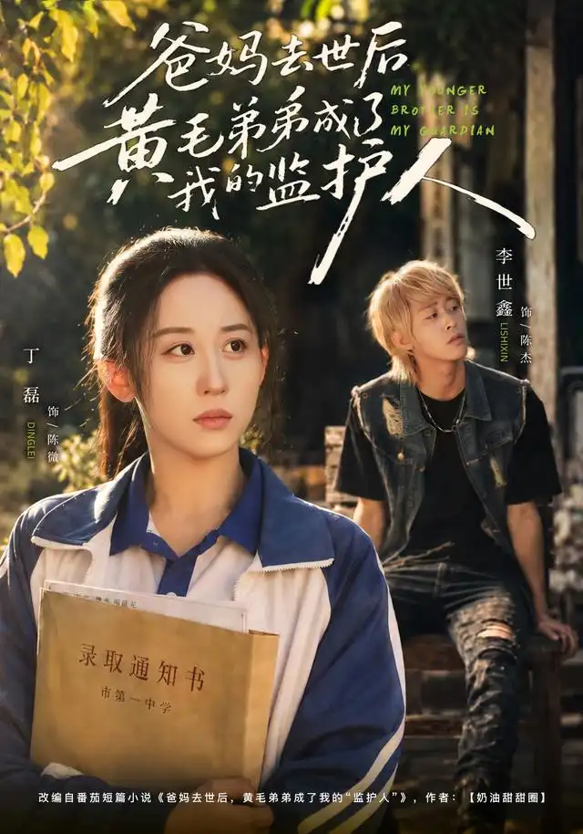 《爸妈去世后黄毛弟弟成了我的监护人》-看电影短剧网
