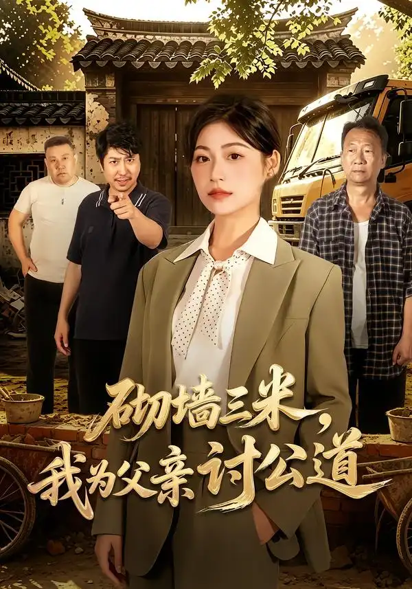 《砌墙三米，我为父亲讨公道》