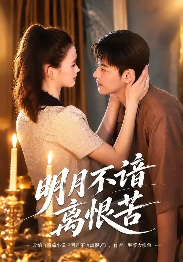 《明月不谙离恨苦》
