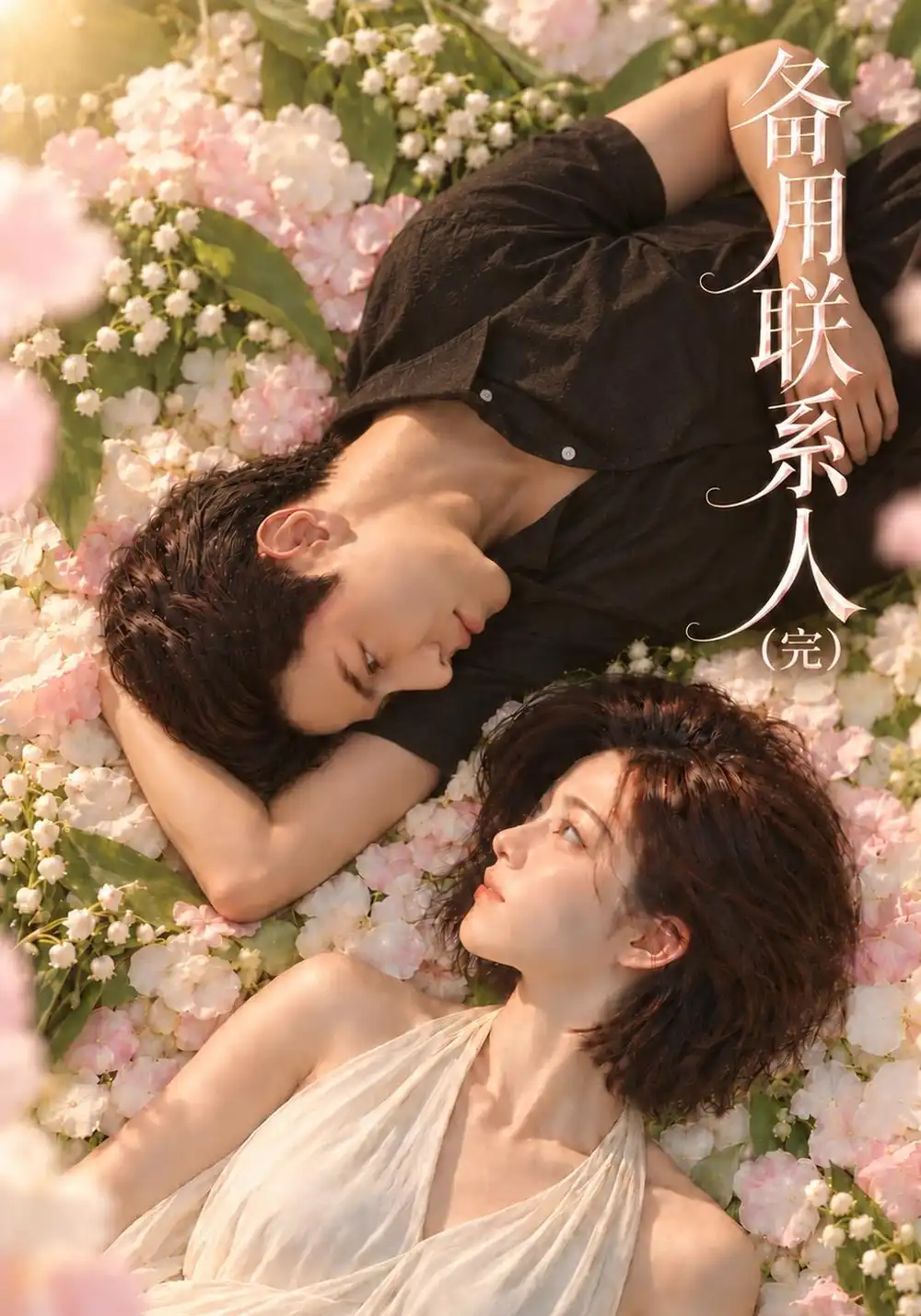 《备用联系人(完)》-看电影短剧网