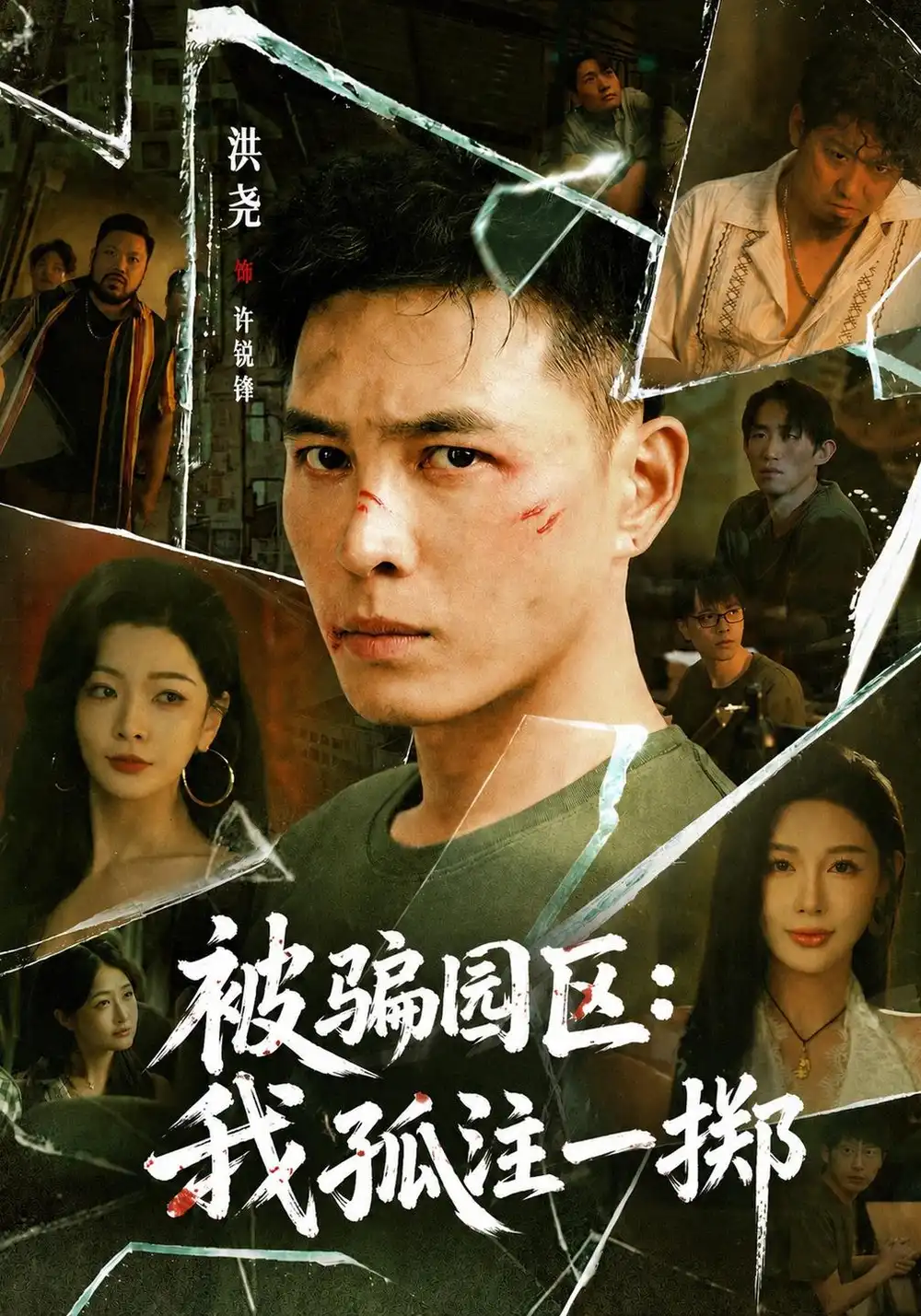 《被骗园区：我孤注一掷&我被骗到缅北的那些年》