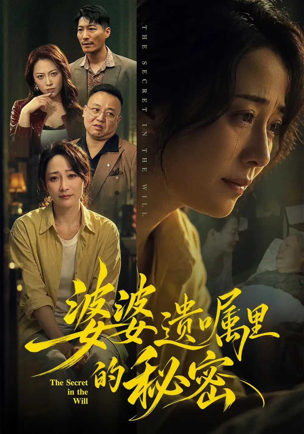 《婆婆遗嘱里的秘密》
