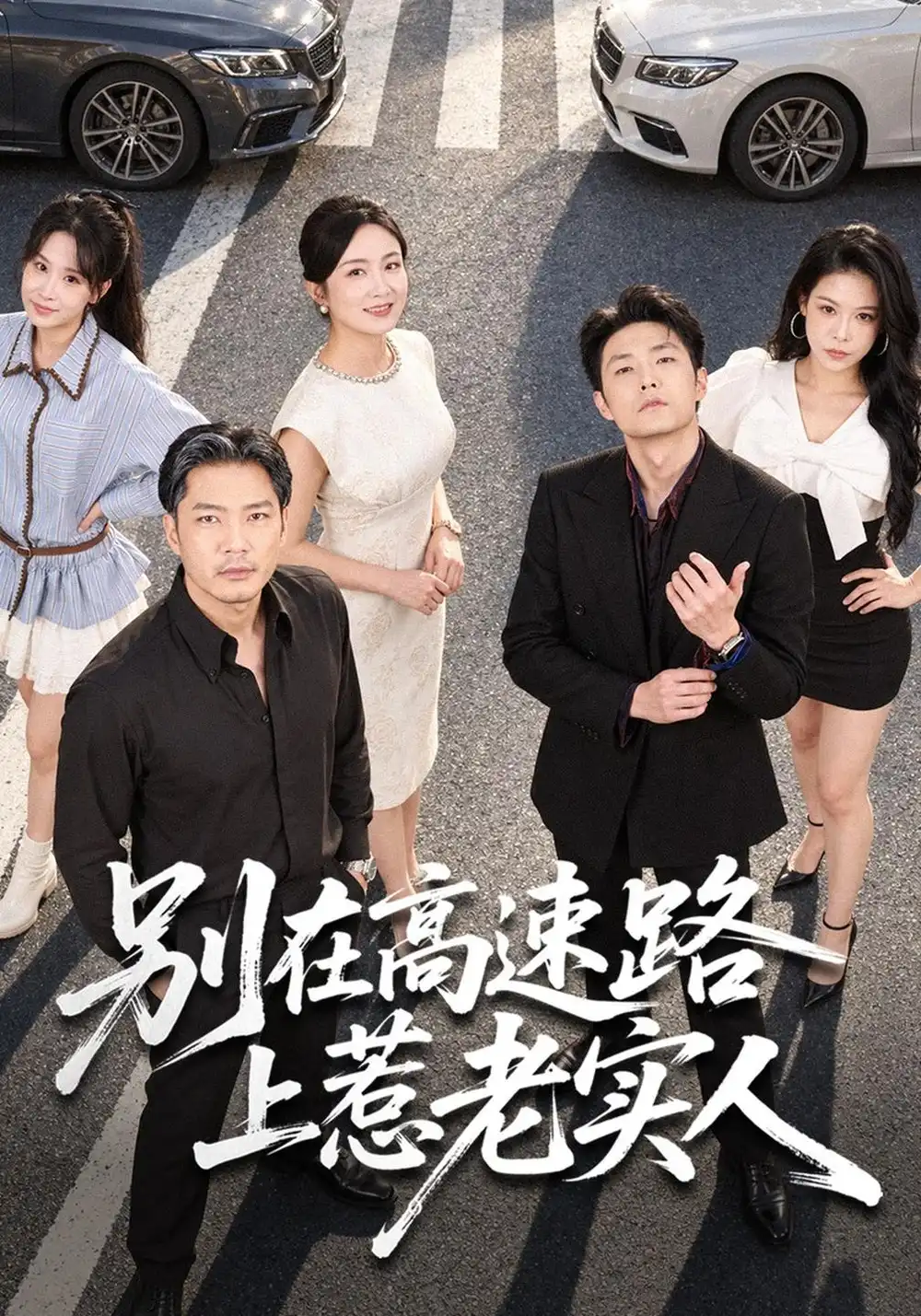 《别在高速路上惹老实人》