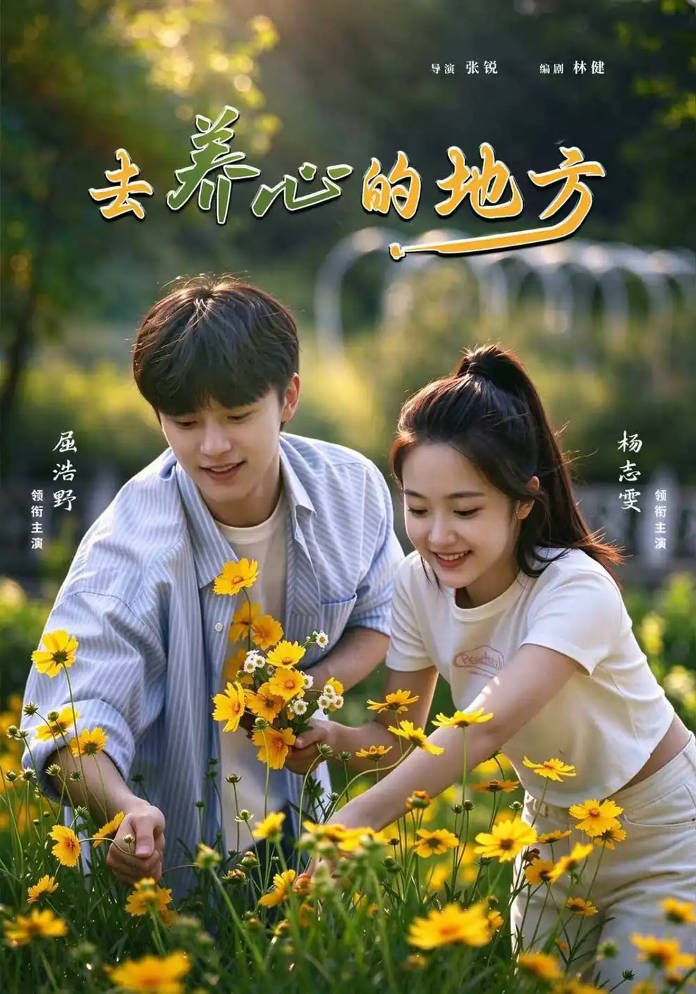 《去养心的地方》