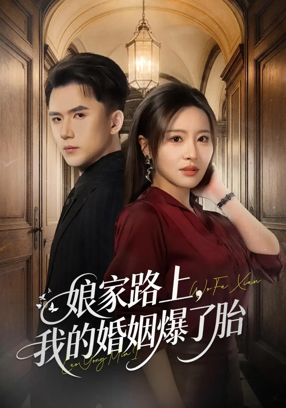《娘家路上，我的婚姻爆了胎》