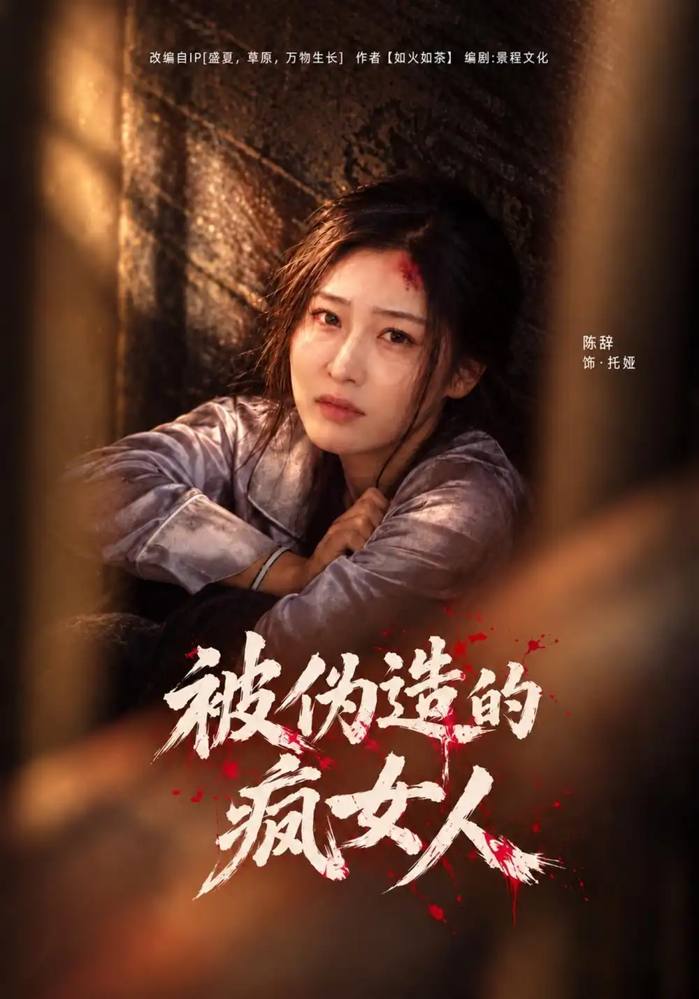 《被伪造的疯女人》-看电影短剧网