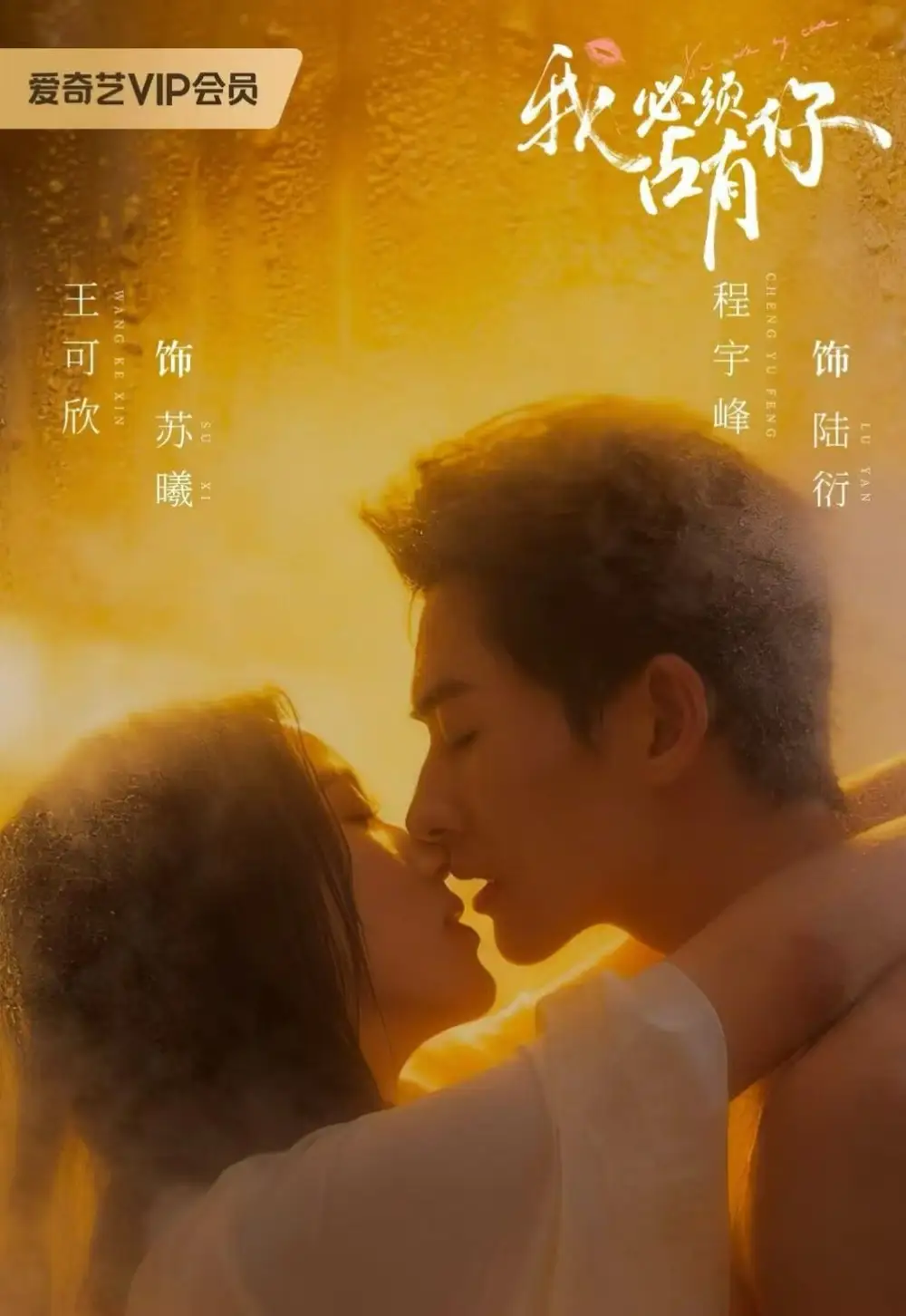 《我必须占有你》