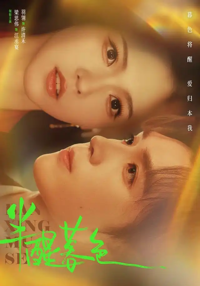 《半醒暮色》