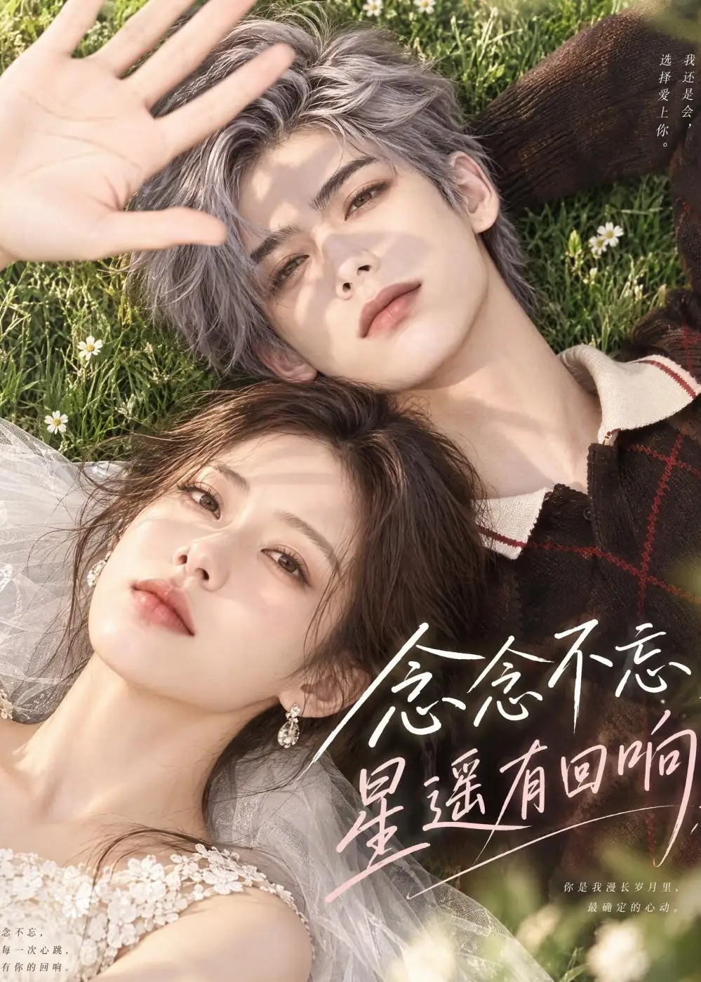 《念念不忘,星遥有回响》-看电影短剧网